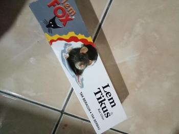 Product Review of Lem tikus FOX lem tikus pasta daya rekat kuat from K**u 0