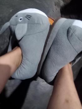 Product Review of dép lông hình tottoro from m**7 1