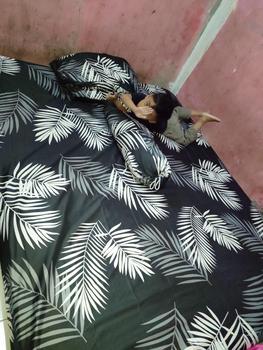 Product Review of SPREI MOTIF BLACK PALM BERKWALITAS ADEM Bantal Guling Karet Sarung Kain from D**n p**y 0