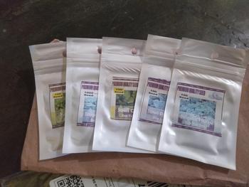 Product Review of Paket Benih Bibit Sayur Sayuran Daun Benih Kangkung Caisim Bayam Hijau Sawi Pakcoy Selada Hijau - Benih Sayur from w**i 0