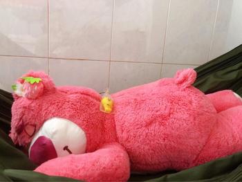 Product Review of Gấu bông gấu dâu nằm đủ size màu hồng xinh xắn (quà sinh nhật, quà kĩ niệm) from H**h L** K** 0