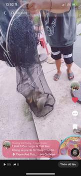 Product Review of Dây thẻo PE lõi Carbon chống rối . Đi Câu Bắt Cá Fishing Câu Cá from G** R** P**S 1