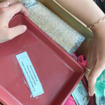 Product Review of Benih premium selada hijau kemasan urban farming from T**e 0