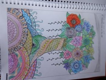 Product Review of Adult Coloring Book Landscape Panorama, Buku Mewarnai Dewasa Pemandangan Anti Stress from m**💞 0