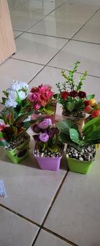 Product Review of bunga artificial terlaris Tulip Mini Dekorasi Ruangan (Artificial) bunga dan pot from R**p ** 0