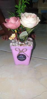 Product Review of bunga artificial terlaris Tulip Mini Dekorasi Ruangan (Artificial) bunga dan pot from V**️ 2