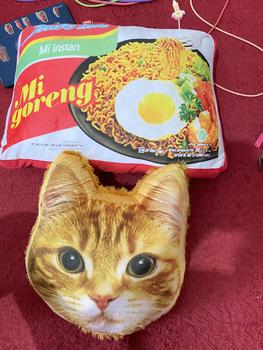 Product Review of Bizzarpillow Bantal Snack Jumbo Size L BZ010 from d** V**y G** 0