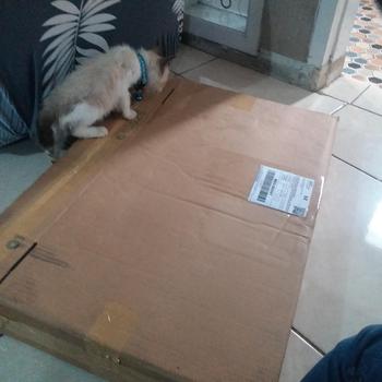 Product Review of KANDANG KUCING TINGKAT 2 SIZE L UKURAN 60X40 KOKOH DAN TEBAL from l**i 0