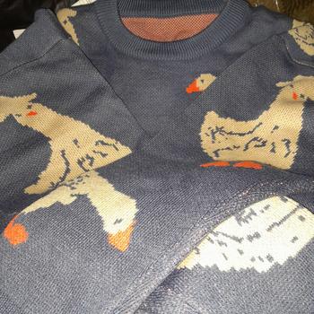 Product Review of Sesil Sweater Rajut Terbaru from d**️ 0