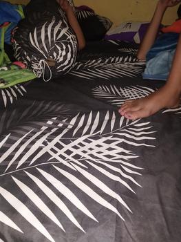Product Review of SPREI MOTIF BLACK PALM BERKWALITAS ADEM Bantal Guling Karet Sarung Kain from ** 0