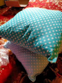Product Review of Bantal Sofa / Bantal Ukuran 30x30 / 40x40 / 45x45 Warna Putih from R** 0