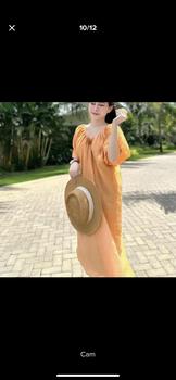 Product Review of A3(Váy cổ tim tay bồng ,2 lớp) from N**e 0