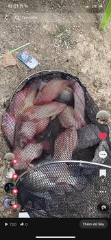 Product Review of Dây thẻo PE lõi Carbon chống rối . Đi Câu Bắt Cá Fishing Câu Cá from G** R** P**S 2