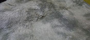 Product Review of karpet ombre bulat karpet lantai from F**2 0