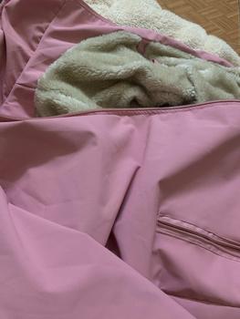 Product Review of Áo gió Nữ Lót Lông Cừu (35-65Kg) Top Jacket Nhung Women Vàng Jean from 🦋**i P**g 🍀** 0