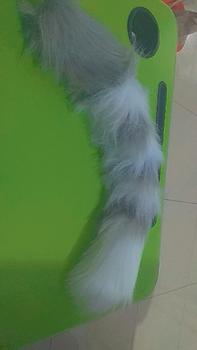 Product Review of ekor furry anggora loreng neko tail blaster faux fur fluffy halloween party fashion cosplay animal stuff aksesoris hiasan dekorasi costume accessories kawaii cute cat shippo from o**a 0
