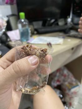 Product Review of Granola Nhiều hạt GO NUTS Hạt mix ngũ cốc dinh dưỡng không đường tạo ngọt bằng mật ong from m**0 0