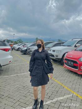 Product Review of WEARLOOCA - Luna Shirt Dress | Dress Wanita | Slim Fit Dress from a**️ 1
