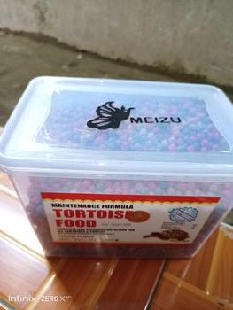 Product Review of Meizu Tortoise Food/Pelet Meizu MAKANAN Kura Kura Tortoise Food 700gram 1kg from y**k 0