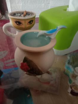 Product Review of Tungku Aromaterapi | Tungku Aromatherapy Oil Burner Keramik from z** ,**l 1