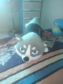 Product Review of Gấu Bông Vịt Trầm Cảm Size 1M2,Thú Nhồi Bông Giá Rẻ (Khổ Vải 1M3 lên Form 1M2) from Đ**N 0