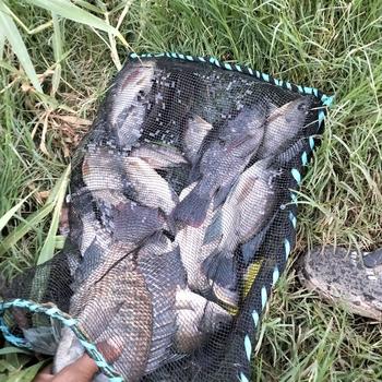 Product Review of Benang Pancing Braided PE Tipis Tapi Kuat Untuk Ikan Besar 300 Meter Premier Pro Series from N**w 1