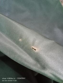 Product Review of Jas Hujan Starlight Raincoat Tipe Ponco/Kelawar PVC Anti Robek dengan Kancing Knop Ganda from R**1 0