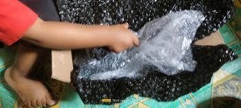 Product Review of Master Rem 1 Set Logo Laser Nimbul 1 Set Tabung Tipe Kotak Oval Tabung Pisah Big Logo Universal Cocok Semua Motor Bertabung Satu GSV from h**t 2