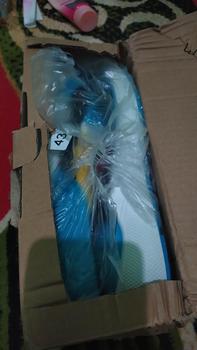 Product Review of Larocking - Zavyr Biru Kuning | Sepatu Sneakers Running Gym Shoes Abu Outdoor from l**n h**u 0