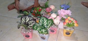 Product Review of bunga artificial terlaris Tulip Mini Dekorasi Ruangan (Artificial) bunga dan pot from V**️ 1