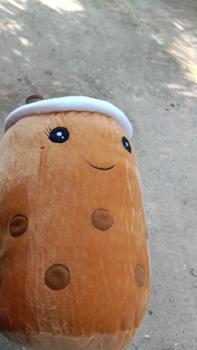 Product Review of Boneka 45CM Boba Besar Jumbo Original Termurah Dolls Toys from F**y 0
