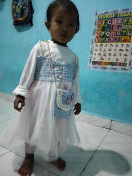 Product Review of 29-DRESS CANTIK ANAK PEREMPUAN 1-4 THN LENGAN PANJANG Gaun Cewek from R**a k**a 3