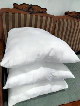 Product Review of Bantal Sofa / Bantal Ukuran 30x30 / 40x40 / 45x45 Warna Putih from d**l 0