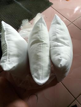Product Review of Bantal Sofa / Bantal Ukuran 30x30 / 40x40 / 45x45 Warna Putih from t**i 2
