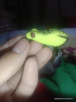 Product Review of Soft frog slim body 4cm umpan kesting from s**d 0