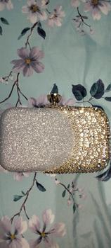 Product Review of Tas Pesta Wanita Elegan Import Kondangan Model Mewah Kekinian from g**e 1