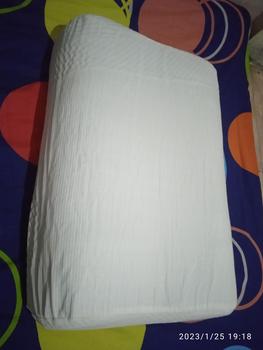 Product Review of BANTAL KESEHATAN / BANTAL KUNTUR FULL MEMORY FOAM Bed -BKK from d**u 0