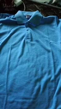 Product Review of Baju Kerah Berkerah Cewek Kaos Polo Wanita from u**9 0
