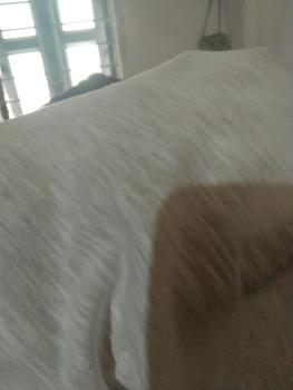 Product Review of Áo thun cổ tim, áo cổ V nữ trơn chất xược cotton nữ cổ tim , thun giấy cổ tim nữ cổ V Top Sơ Mi Cổ Tròn from t**9 1