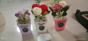 Product Review of bunga artificial terlaris Tulip Mini Dekorasi Ruangan (Artificial) bunga dan pot from S**E H** 3**A 0