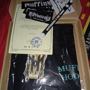 Product Review of Muffinhooks Cat Dmd Robot - Oversize Tees from 𝙎**𝙉 0