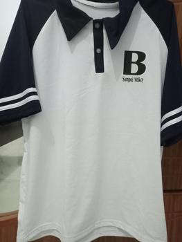 Product Review of ÁO THUN CỔ POLO IN CHỮ B (MS 50) from T**h T**y 0
