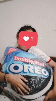 Product Review of Bizzarpillow Bantal Snack Jumbo Size L BZ010 from a**u 0