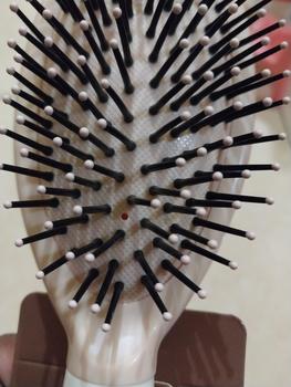 Product Review of OHSOME - Massage Cushion comb Kuas / Sisir / Sisir Rambut Kuas from f**n 0
