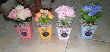 Product Review of bunga artificial terlaris Tulip Mini Dekorasi Ruangan (Artificial) bunga dan pot from V**️ 0