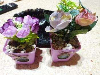 Product Review of bunga artificial terlaris Tulip Mini Dekorasi Ruangan (Artificial) bunga dan pot from N**A S**P 0
