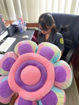 Product Review of Bantal  Bunga Happy House Diameter 40cm from m**l 0
