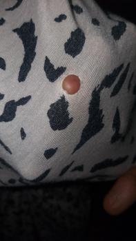 Product Review of Peachbello Setelan Kaos Anak Lengan Pendek Usia 1-6th Laki-Laki Katun Bayi dan Anak Perempuan kuromi from M**0 0