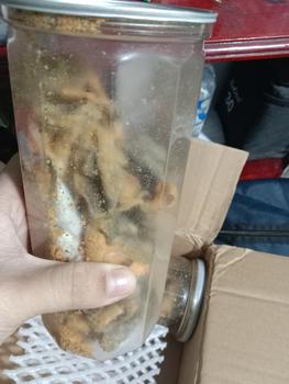 Product Review of da cá trứng muối- phô mai  ( hộp 200gr) Ăn Vặt from M**3 0
