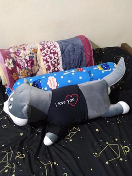 Product Review of Gấu Bông Vịt Trầm Cảm Size 1M2,Thú Nhồi Bông Giá Rẻ (Khổ Vải 1M3 lên Form 1M2) from L** L** 0